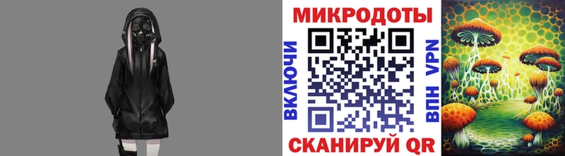 Галлюциногенные грибы Psilocybine cubensis  Татарск 