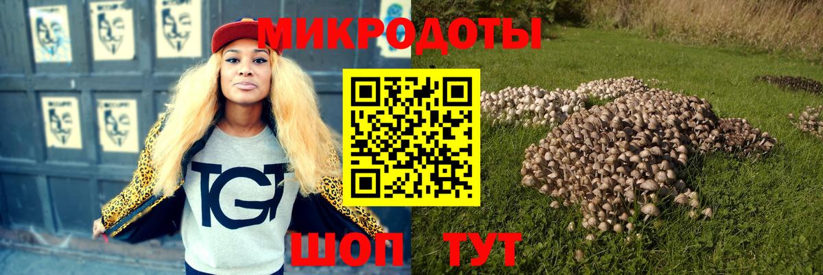 Галлюциногенные грибы Magic Shrooms  Псилоцибиновые грибы ЛСД  Татарск  Вход с VPN 
